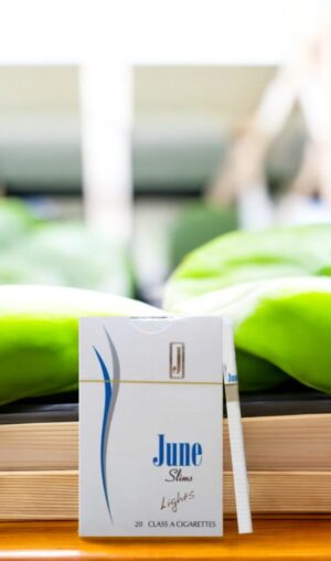 ซื้อ June Lights ได้ที่ไหนบ้าง?