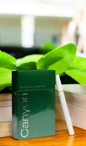 หาซื้อ Canyon Menthol ได้ที่ไหนบ้าง?