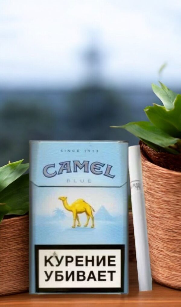 ความแตกต่างระหว่าง Camel Blue กับ Camel Light คืออะไร?