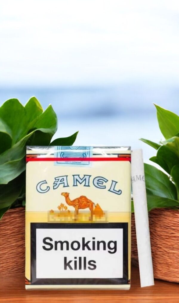 บุหรี่ Camel มีประเภทอะไรบ้าง?