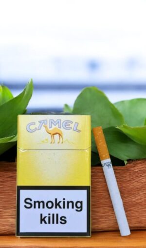 ทาร์และนิโคตินมีผลต่อการสูบบุหรี่อย่างไร?