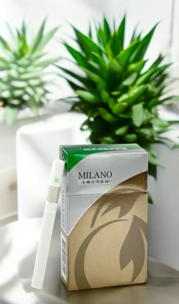 Milano Switch มีคุณสมบัติอะไรบ้าง?