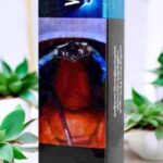 Winston Purple Mint คืออะไร?