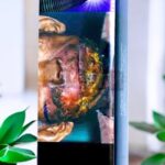 Winston Purple Mint มีจำหน่ายในที่ไหนบ้าง?