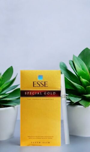 บุหรี่ ESSE มีประเภทอะไรบ้าง?