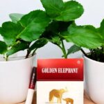 Golden Elephant มีผลิตภัณฑ์อื่นๆ อะไรบ้าง?