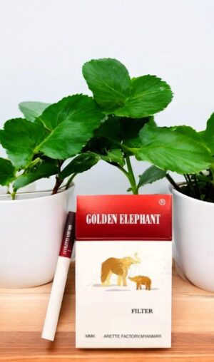 Golden Elephant มีผลิตภัณฑ์อื่นๆ อะไรบ้าง?