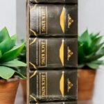 Jack King มีหลายแบบหรือไม่?