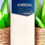 วงดนตรี Capital Lights มีสมาชิกใครบ้าง?
