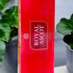 มีภาพถ่าย Royal Red ที่ไหนบ้าง?