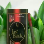 บุหรี่ Just Black มีประเภทไหนบ้าง?