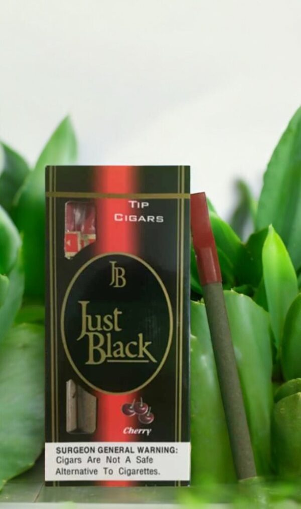 บุหรี่ Just Black มีประเภทไหนบ้าง?