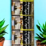 Wonder S Green ซื้อที่ไหนได้บ้าง?