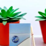 แบรนด์ Camfly มีคุณสมบัติอะไรบ้าง?