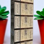 Chapman กีตาร์มีรุ่นไหนบ้าง?