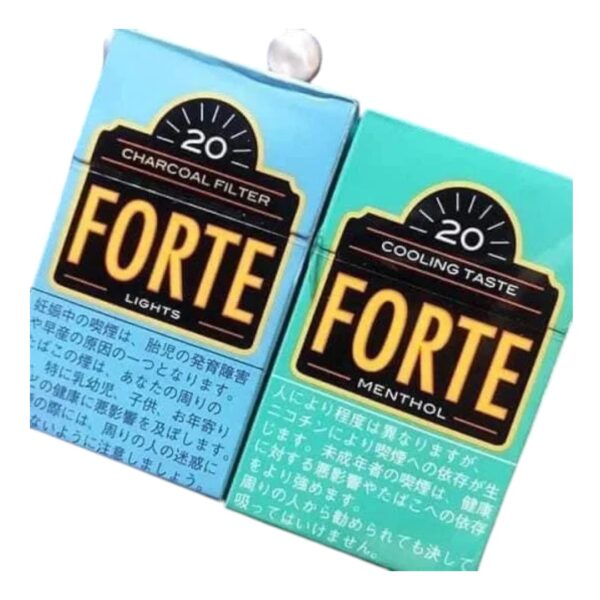 วิธีการใช้งาน Forte Light ที่ถูกต้องคืออะไร?