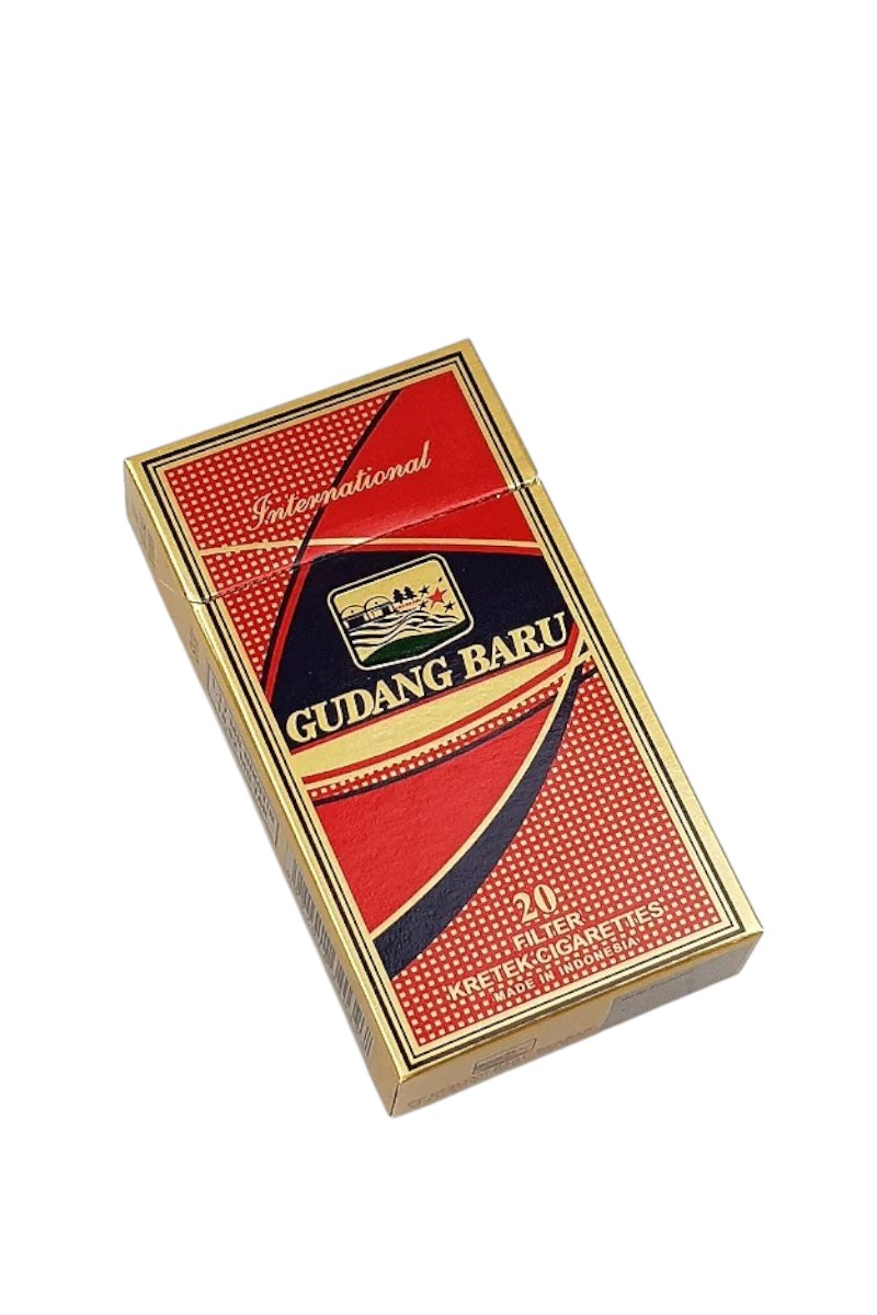 Gudang Baru Internasional มีแผนขยายธุรกิจในอนาคตหรือไม่?