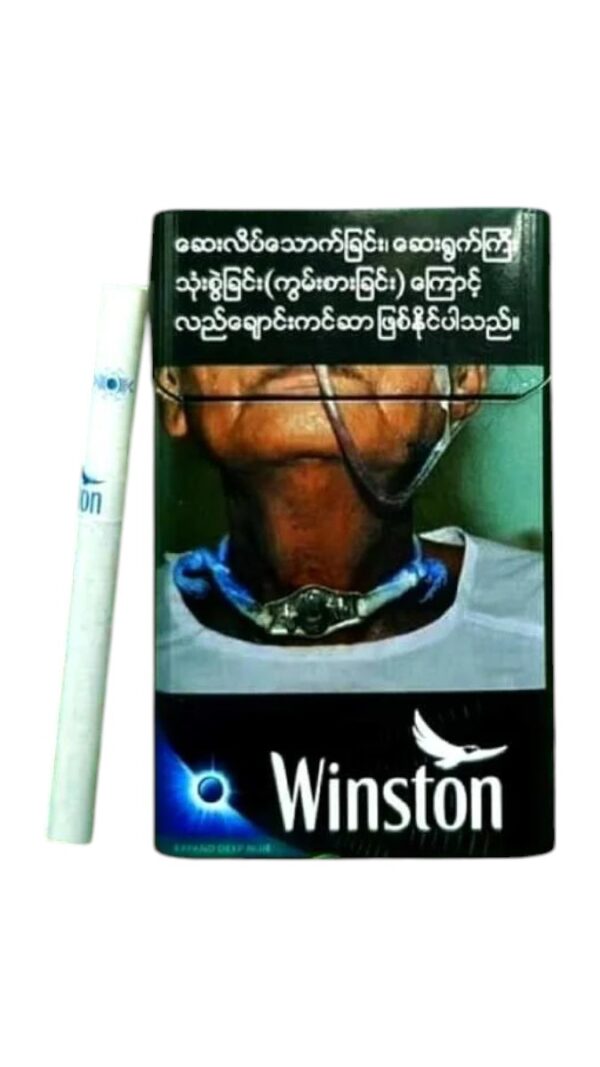 Winston Deep Blue สามารถนำไปใช้ในด้านใดได้บ้าง?