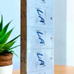 L.A. ICE มีตัวเลือกแบบไหนบ้าง?