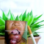 Playoff แดงมีนิโคตินเท่าไร?