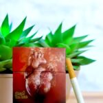 Camel เหลือง กับ Camel เขียว ต่างกันอย่างไร?