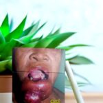 Camel มีสีไหนบ้างและมีกลิ่นอย่างไร?