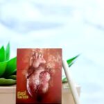 Camel เหลืองและเขียวต่างกันอย่างไร?