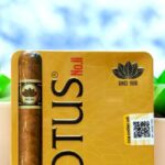 บุหรี่ซิการ์ Lotus มีแบรนด์อื่น ๆ อะไรบ้าง?