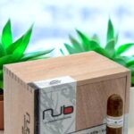 Nub มีประเภทอะไรบ้าง?