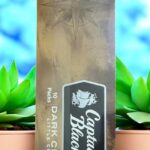 มินิซิก้าคืออะไร?