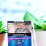 Camel Connect มีรสชาติอะไรบ้าง?