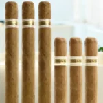 ซิก้าร์ Robusto คืออะไร?