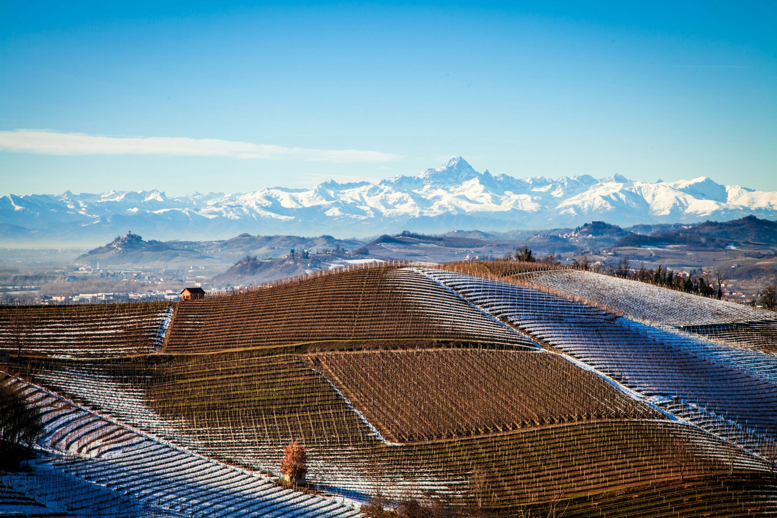 produttori del barbaresco 2020: การสำรวจและความเข้าใจ