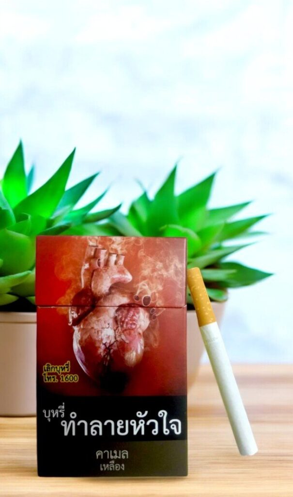 Camel Yellow พร้อมส่ง ฟรี! เก็บเงินปลายทาง