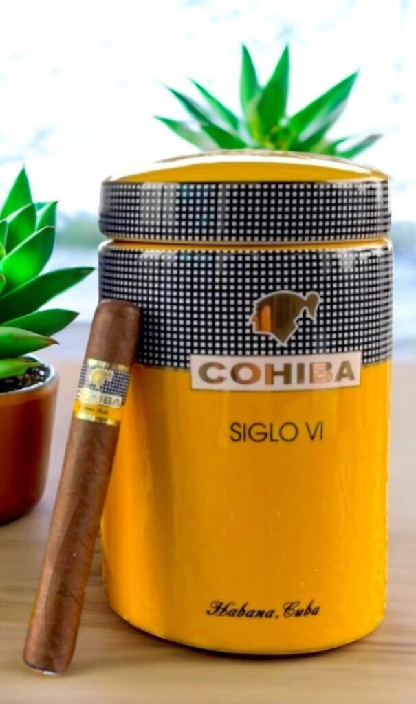 Cohiba Siglo VI Tubed Cigar พร้อมส่ง ปลายทาง รับประกัน รูปที 1