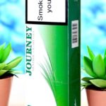 พร้อมส่ง บุหรี่ Journey Menthol จัด รูปที 1