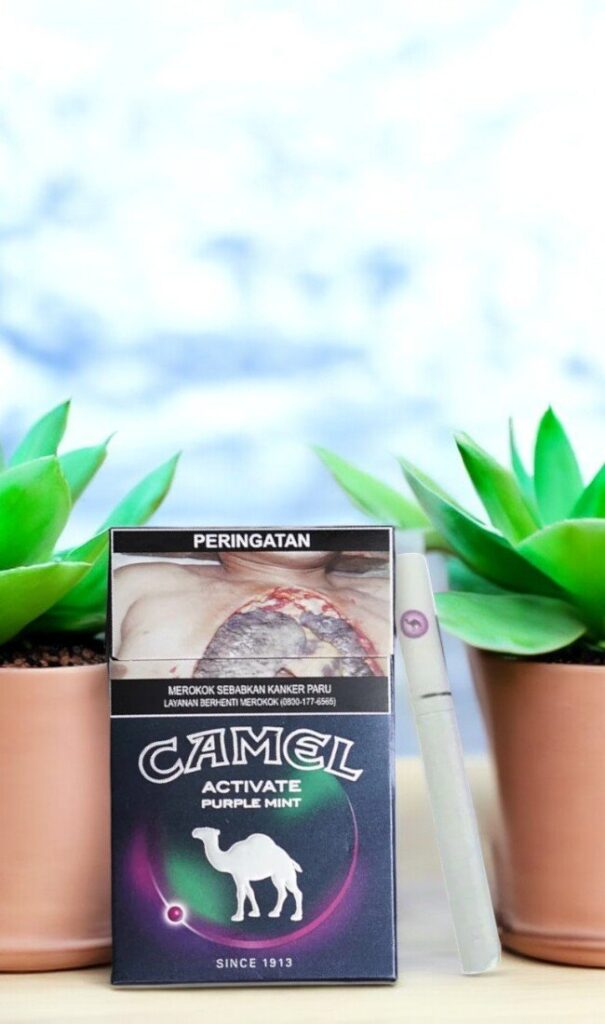 Camel Activate Purple Mint รูปที 1