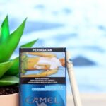 บุหรี่ Camel Connect Activate Menthol 100s รูปที 1