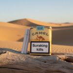 บุหรี่ Camel Non-Filter (คาเมล เหลือง ไม่มีก้นกรอง) ต้นตำรับใบยาอเมริกาและตุรกี