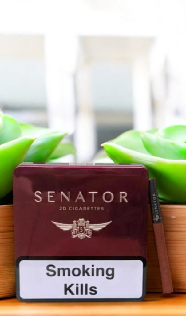 บุหรี่ Senator Pipe Aroma